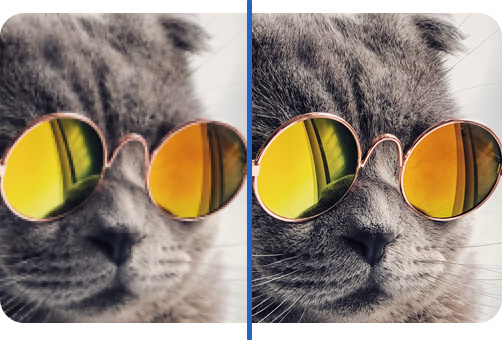 A grey british shorthair cat with sunglasses upscaled